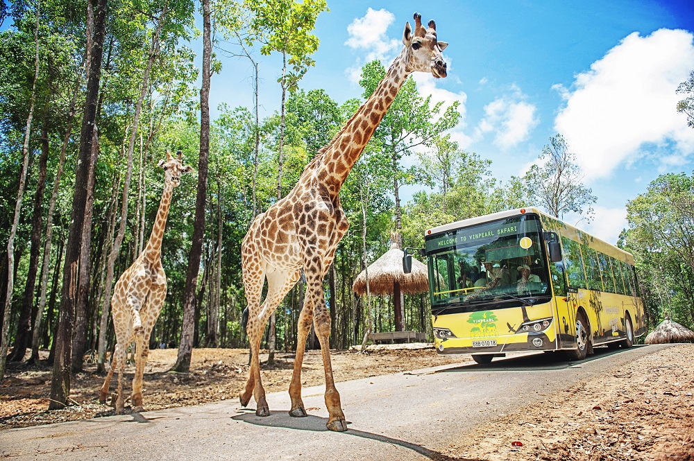 Thiết kế công viên bảo tồn và vườn thú Safari tại siêu đô thị Vinhomes Green Paradise