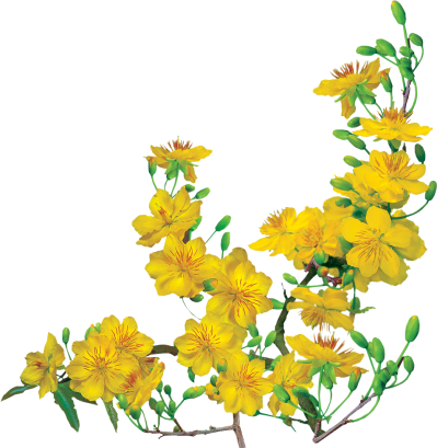 Người phục vụ