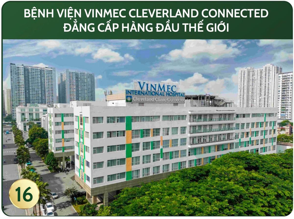 BÁN NHÀ PHỐ THƯƠNG MẠI TL-503 – VINHOMES CẦN GIỜ  GIÁ CHỈ 16.8 TỶ • MẶT TIỀN TRỤC THƯƠNG MẠI 58M • TIỀM NĂNG KINH DOANH KHỦNG - ảnh 6