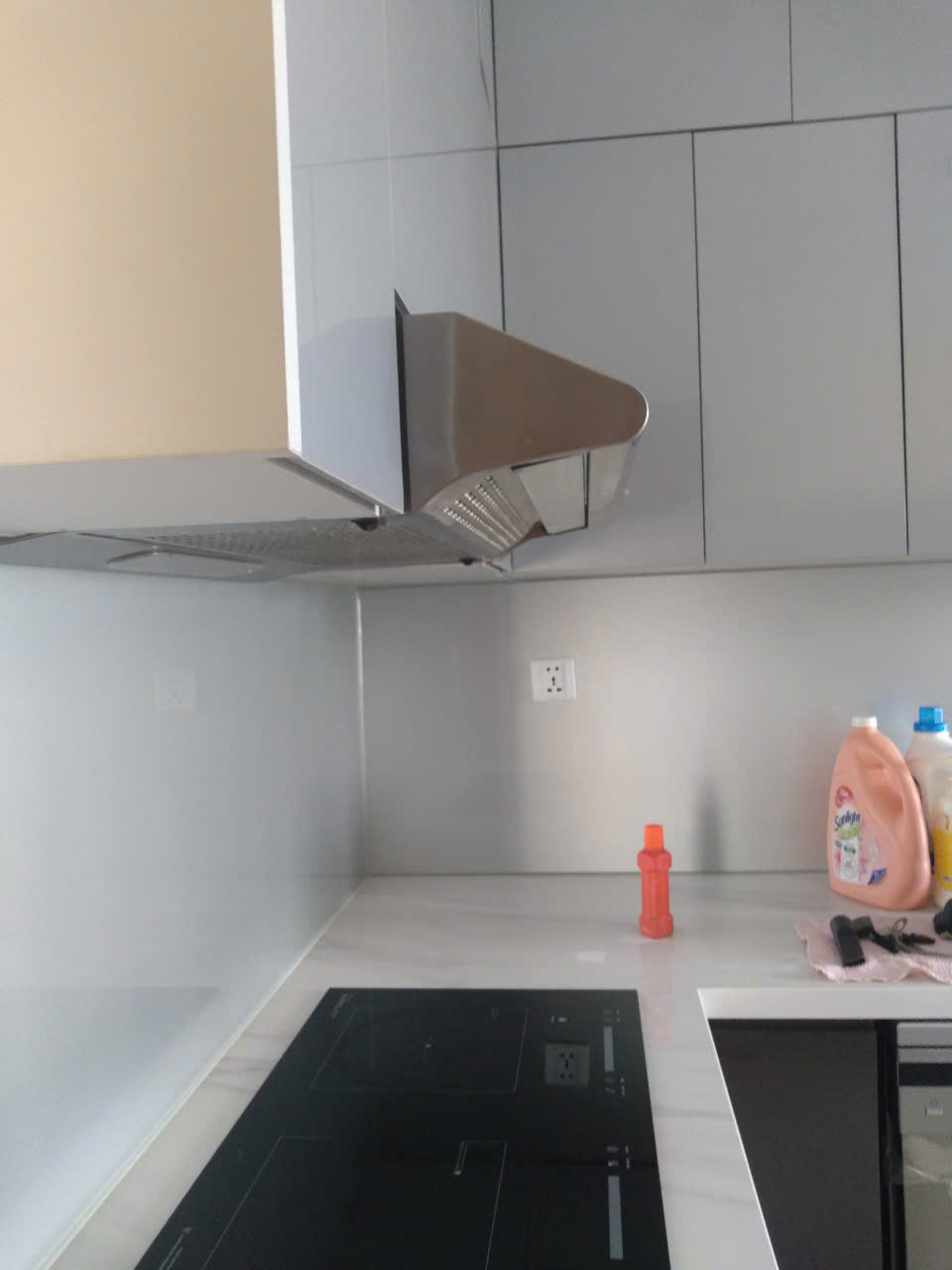 Cần cho thuê căn hộ 2PN+ – Nội thất cơ bản – The Rainbow Vinhomes Grand Park – Giá chỉ 10 triệu/tháng - ảnh 9