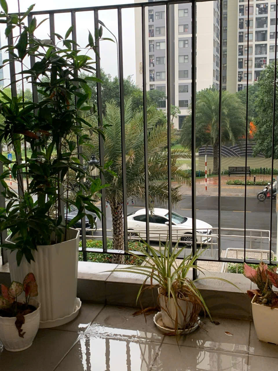 Cho Thuê Căn Hộ 1PN+ Tòa S6.01 – The Origami Vinhomes Grand Park | Full Nội Thất, Giá Tốt