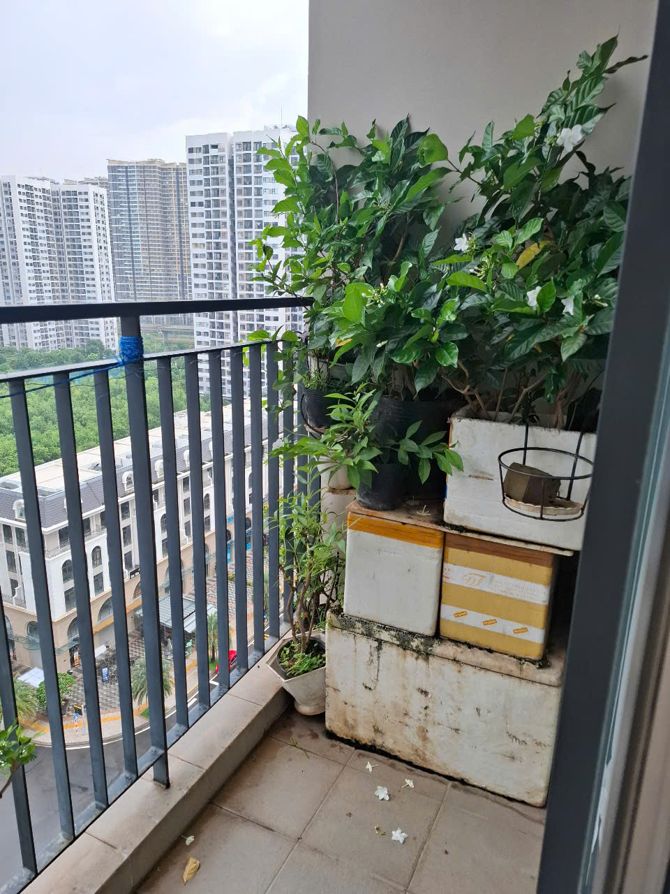 Cho Thuê Căn Hộ Vinhomes Grand Park – The Origami 2PN 2WC, Tầng Trung View Nội Khu, Full Nội Thất – Ở Ngay