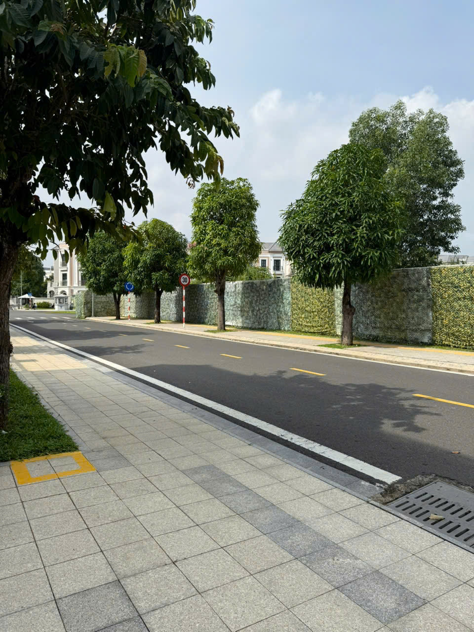 BÁN BIỆT THỰ SONG LẬP THE MANHATTAN – VINHOMES GRAND PARK Nhà thô – Diện tích lớn 413m² – Giá tốt hiếm có - ảnh 4