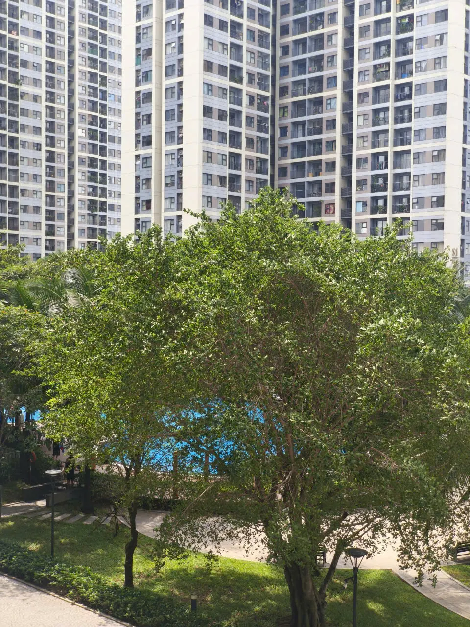 CHO THUÊ CĂN 1PN+ 47M2 THE RAINBOW – FULL NỘI THẤT – CHỈ 7 TRIỆU/THÁNG - ảnh 3